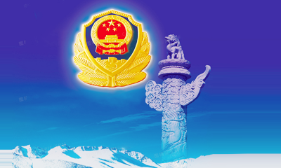 政務公安行業